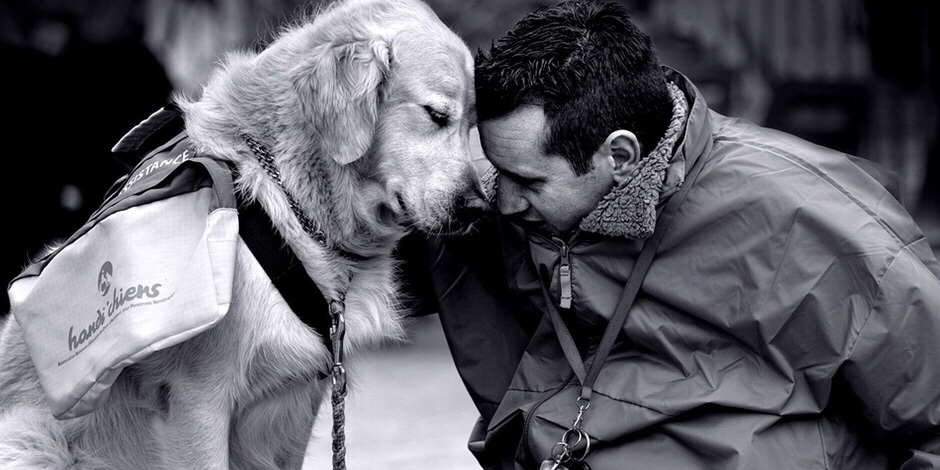 Os Efeitos Psicológicos dos Animais de Estimação na Nossa&nbsp;Vida