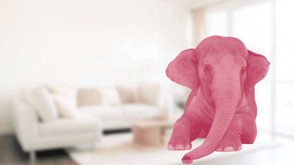 O “Elefante Rosa” no Meio da Sala: Por que Enfrentá-lo É Essencial para Relacionamentos&nbsp;Saudáveis?