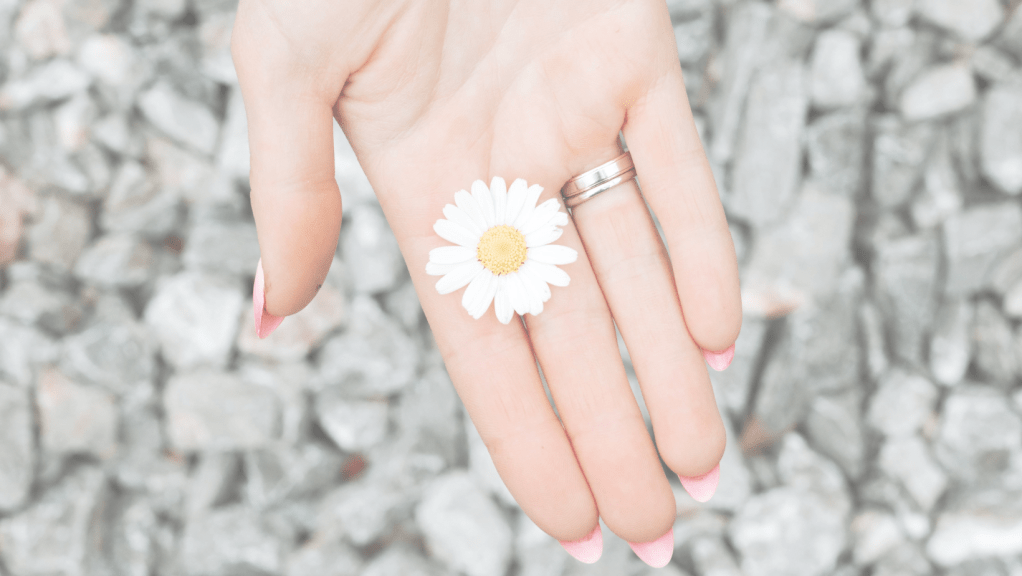 Compreender e Superar o Comportamento&nbsp;Tóxico