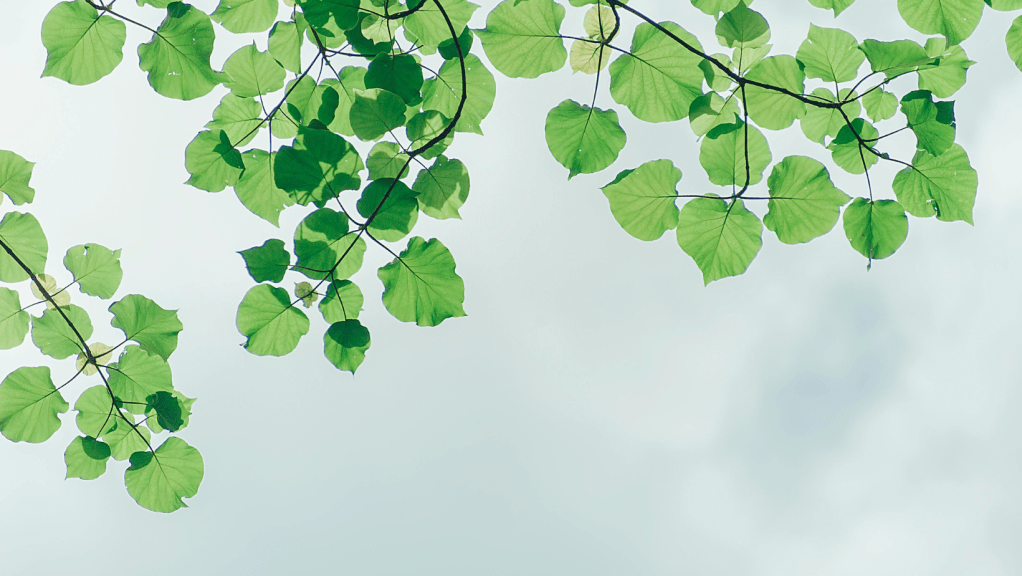 Porque Sentimos Tanta Necessidade de Conforto Emocional&nbsp;?