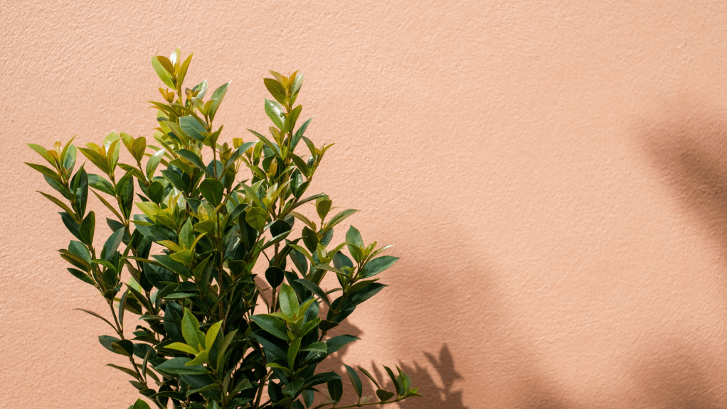 O que NÃO é&nbsp;Autocuidado